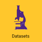 Datasets