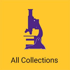 All Collections