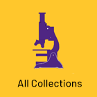 All Collections